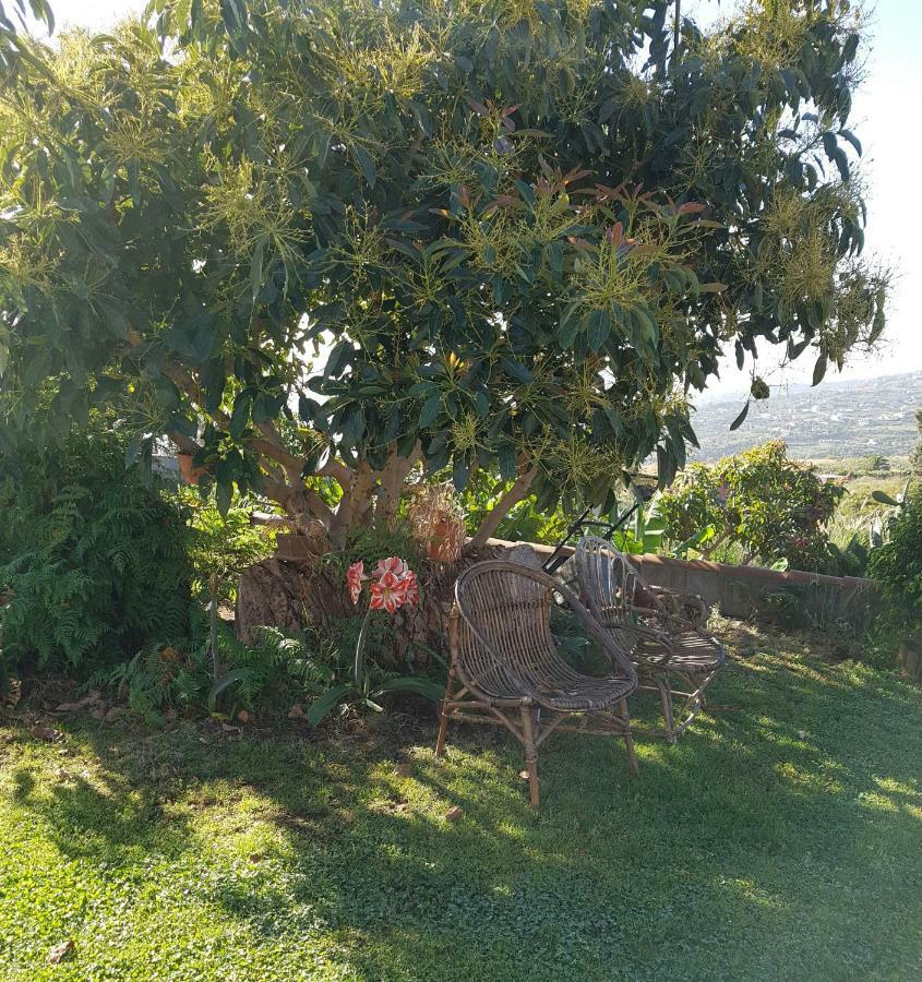 La Sabana Casa de hóspedes Buenavista de Abajo Exterior foto